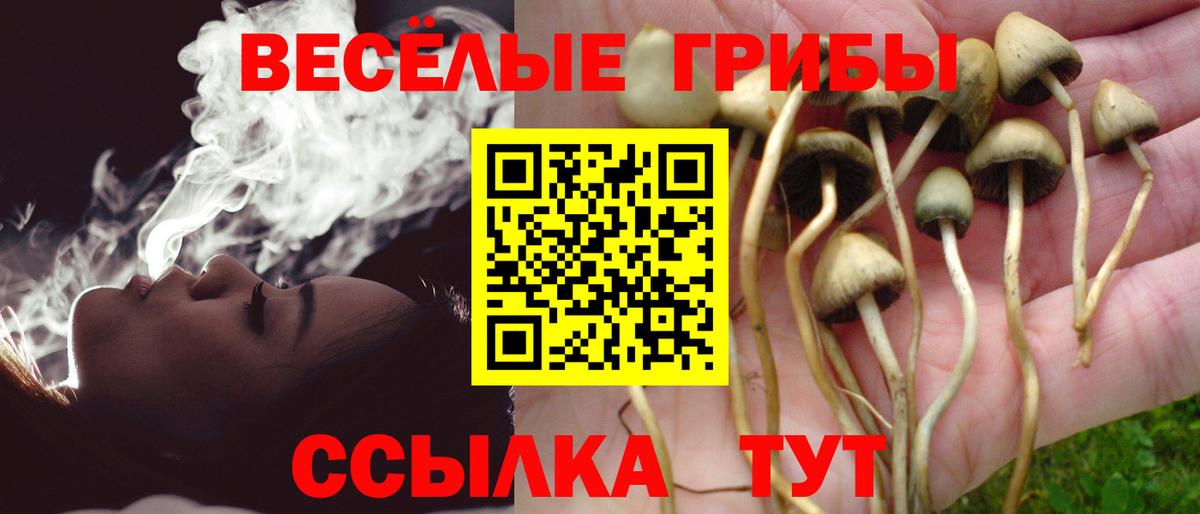 наркотики  Вход с VPN  Орёл  Псилоцибиновые грибы MAGIC MUSHROOMS  Псилоцибиновые грибы прущие грибы 
